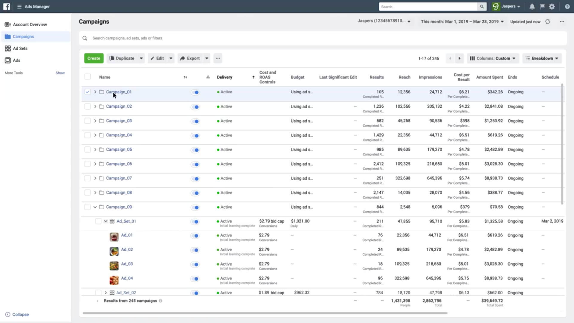 Facebook Ads Manager platform
